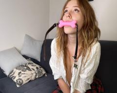 läufige Wildkatze oder Hündin zum trainieren