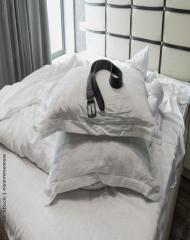 blaugelbrotes Wunder mit Geplärr erleben